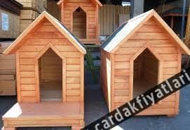 Ahşap köpek kulübesi