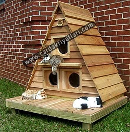 Ahşap kedi kulübeleri