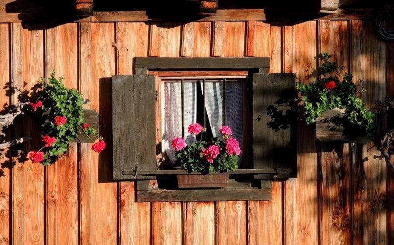 ahşap saksı seçimi